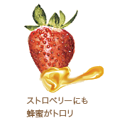 ストロベリーにも蜂蜜がトロリ