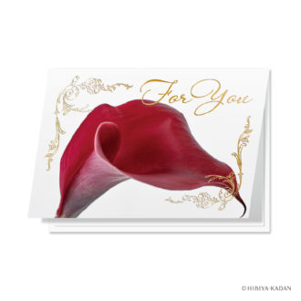 日比谷花壇 グリーティング For you カラー N7752