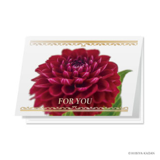 日比谷花壇 グリーティング For you ダリア N7753