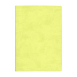 Signature Notebook A5 Light Green N75172 R4007