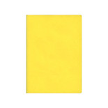 Signature Notebook A6 Yellow N76174 R4014