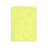 Signature Notebook A6 Light Green N76176 R4016