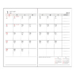 2017年1月始まり アポイント E1691 1ヶ月ブロック 日曜始まり 手帳サイズ ピンク Appoint
