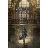 3Dポストカード ファンタスティックビーストと魔法使いの旅 POSTER A S3735