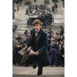 3Dポストカード ファンタスティックビーストと魔法使いの旅 MOVIE S3737