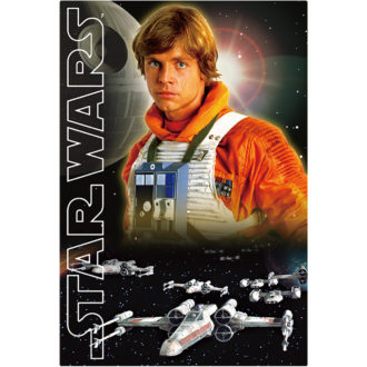3Dポストカード STAR WARS スター・ウォーズ オリジナル・トリロジー Luke-Pirot